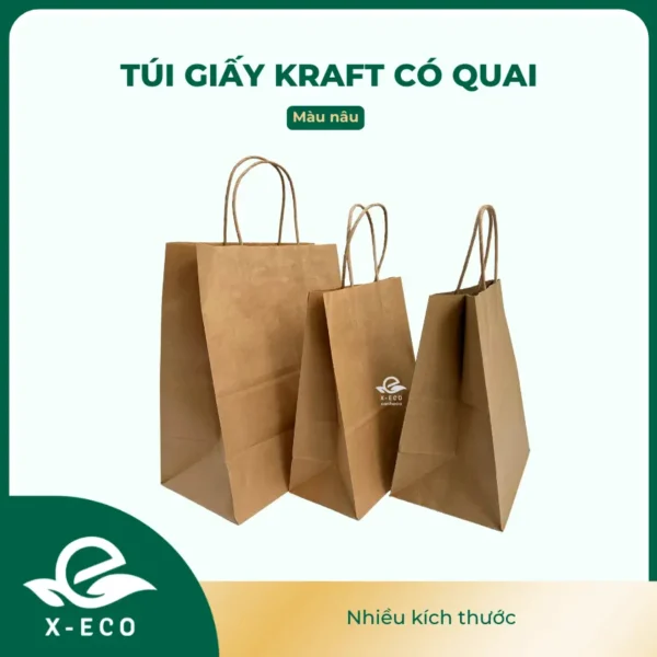 Túi giấy kraft có quai