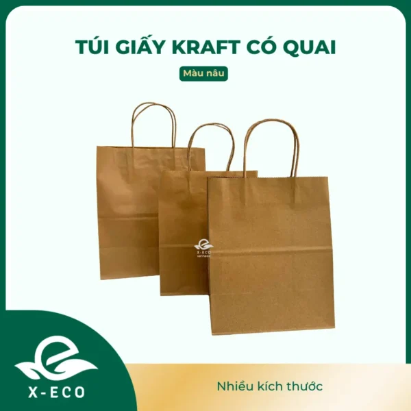 Túi giấy kraft có quai