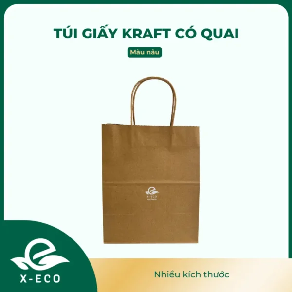 Túi giấy kraft có quai