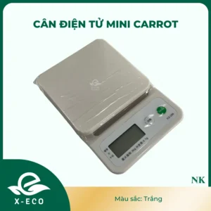 AUTO-DRAFT